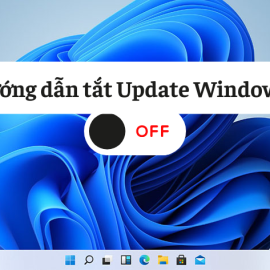 Hướng dẫn tắt Update Windows 11