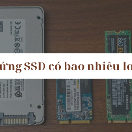 Ổ cứng SSD có bao nhiêu loại?