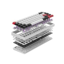 Rapidtrigger là gì?